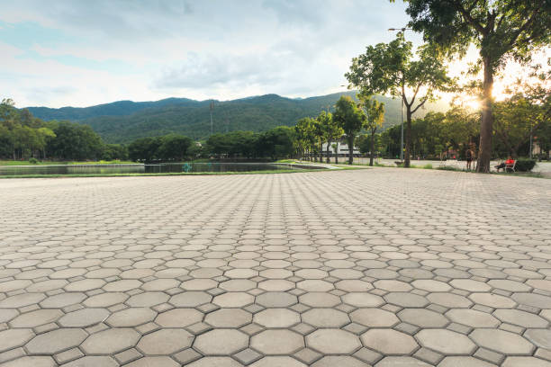 Best Driveway Pavers Near Me  in Saddlebrooke, AZ